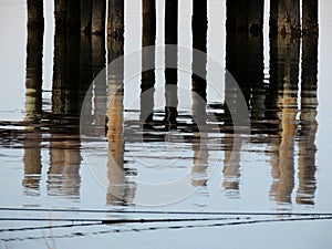 Reflections of Dock Pilings in the Water.