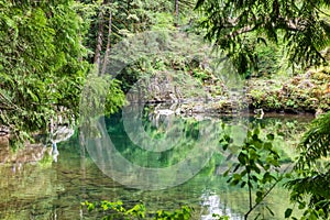 Reflections in the East Fork Lews River photo