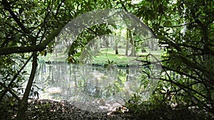 Reflections of an English Countryside 3