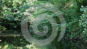 Reflections on an English River