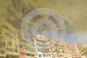 Reflections of facades and plants on river