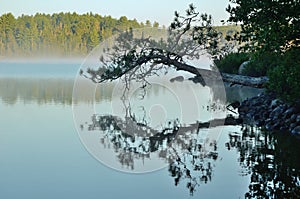 Reflections on a Foggy Wilderness Lake