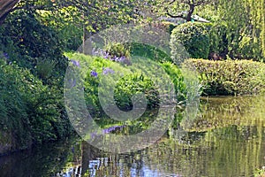 Path by the Tiverton canal, Devon
