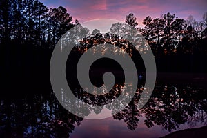 Summer sky and trees reflected in lake water