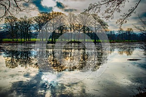 Reflections in icey water