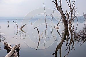 Reflections in a lake in Africa