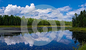 Reflections, lake gust, minnesota