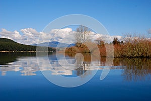 Reflections on Lake Maraetai, Mangakino, Taupo New Zealand Aotearoa