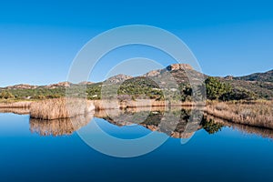 Reflections in a lake at Ostriconi in Corsica