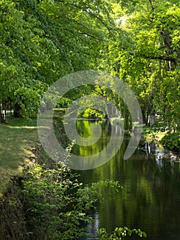 Reflections of leaves on the water of a stream