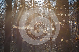 Reflections of light in water drops