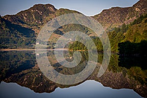 Reflections on Llyn Crafnant IV
