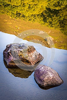 Reflections on Llyn Crafnant V