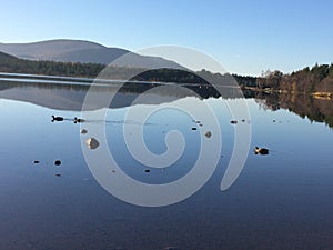 Reflections Loch Morlich Scotland