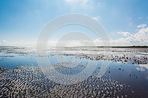 Reflections at low tide