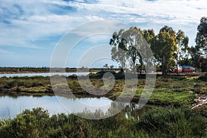Reflections in the Marshes of the Odiel River