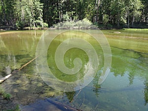 Reflections in the Merced River, Yosemite National Park, California