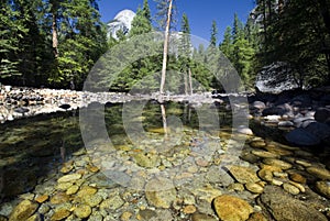 Reflections in Merced river, Yosemite National Park,California, USA