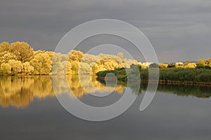 Reflections of native flora on VÃÂ­stula river in Cracovia, Poland photo