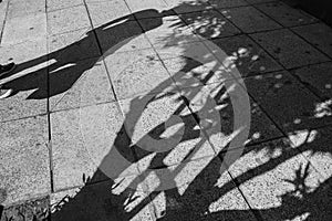 Reflections in the neighbourhood of Palermo in Buenos Aires, Argentina photo