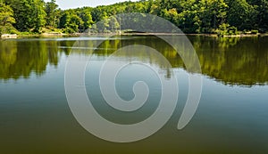 Reflections on Pandapas Pond