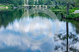 Reflections on Pandapas Pond