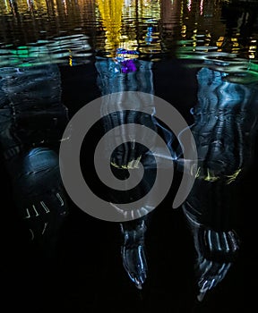 Reflections of Petronas Towers