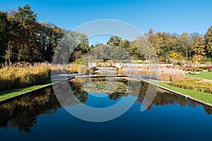 Reflections plants and reeds with autumn colors in the pond of a city park