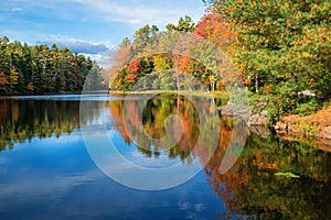 Reflections in pond on sunny autumn day