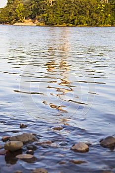 Reflections on rippled water photo