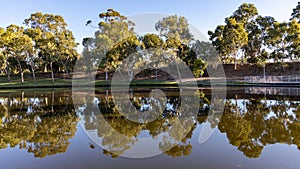 The reflections of the riverbank of the river torrens in adelaide south australia on april 2nd 2021