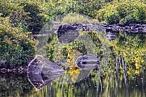 Reflections of the rocks merge with the vegetation, Current River , Thunder Bay, ON, Canada