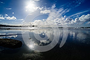 Reflections on the San Diego shore