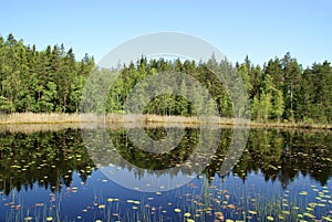 Reflections on Serene Lake