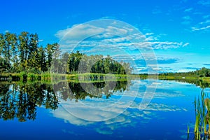 Reflections of the sky in the Narrows