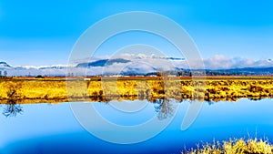 Reflections of the smooth surface of Alouette River in the Pitt Polder at the town of Maple Ridge in the Fraser Valley of British