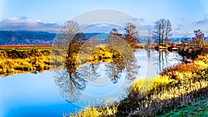 Reflections of the smooth surface of Alouette River in the Pitt Polder at the town of Maple Ridge in the Fraser Valley of British