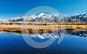 Reflections of Snow mountains in the lake in Leh