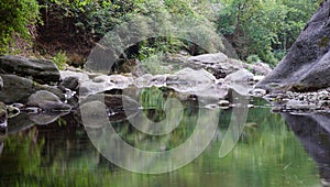 Reflections in the stream