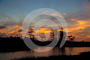 Reflections of sunset silhouette in the cypress swamp