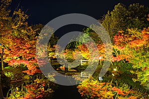 REFLECTIONS OF SUTUMN LEAVES AT Nabana No Sato ,Mie,Japan