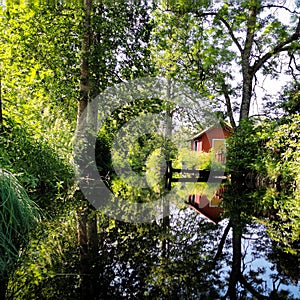 Reflections of a swedish summer