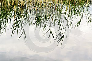 Reflections of tranquil blue sky with white clouds on water