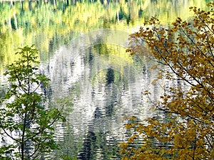 Autumn reflections of tree branch colors in a lake of Panticosa photo
