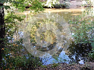 Reflections of trees and blue sky in the pond