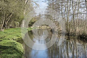 reflections of trees on the high water of the Groote Beek photo
