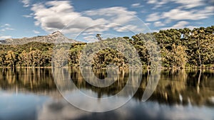 Reflections of trees on a Lake in Marbella