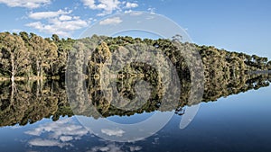 Reflections of trees on a Lake in Marbella