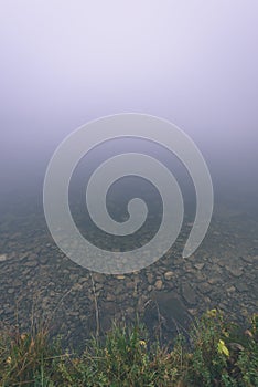 Reflections of trees in the lake water in the morning mist - vintage effect film look