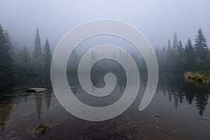 Odrazy stromov vo vode jazera v rannej hmle